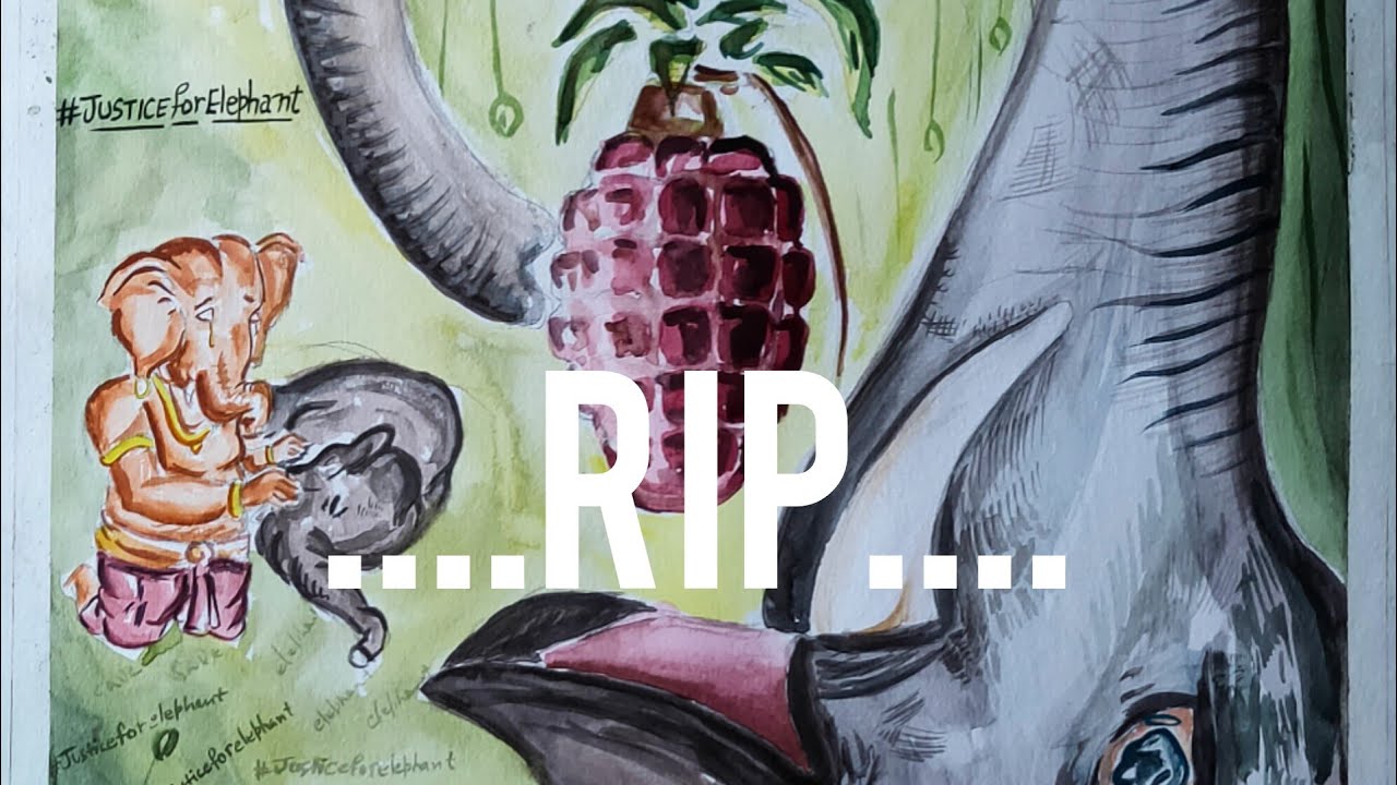 RIP || ELEPHANT INCIDENCE IN KERELA || PAINTING - YouTube