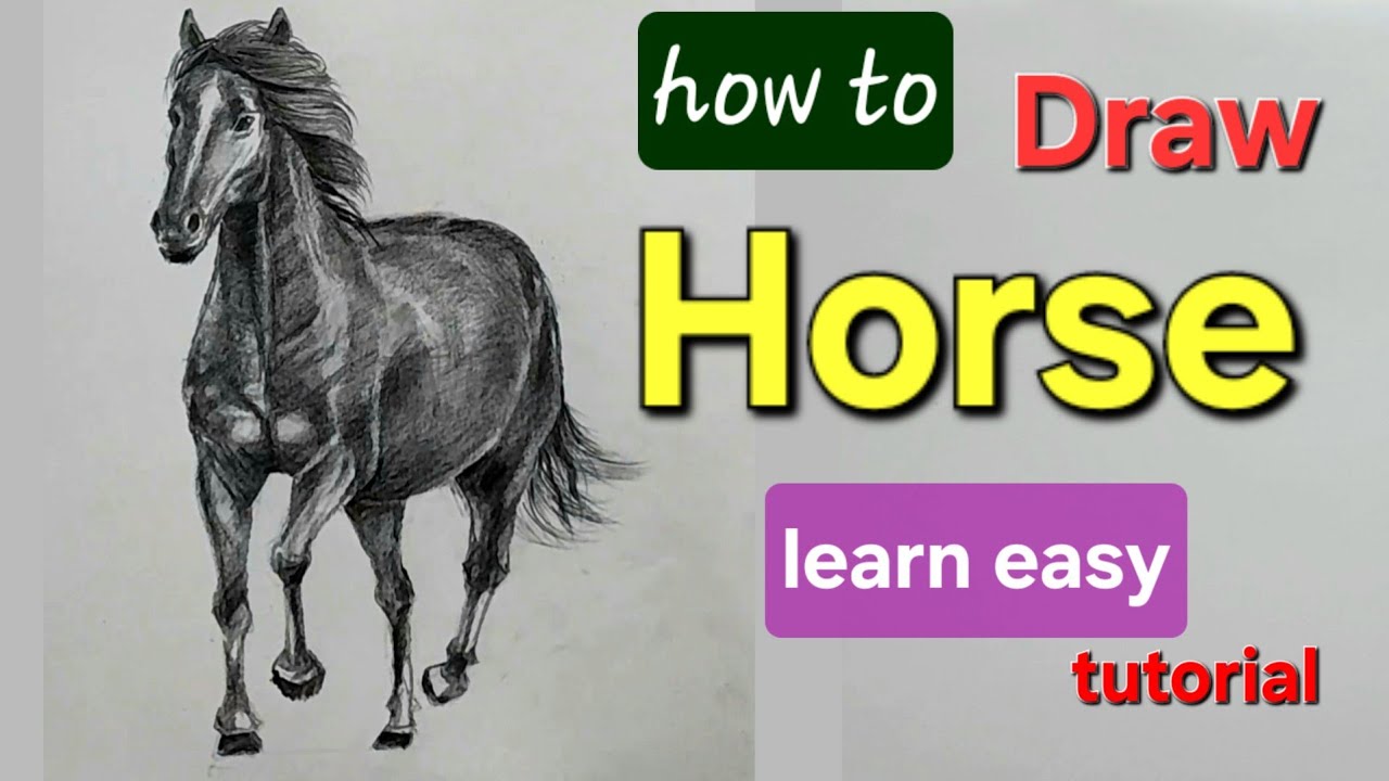 Learn Easy How to Draw a Horse | Shading Drawing Tutorial - YouTube