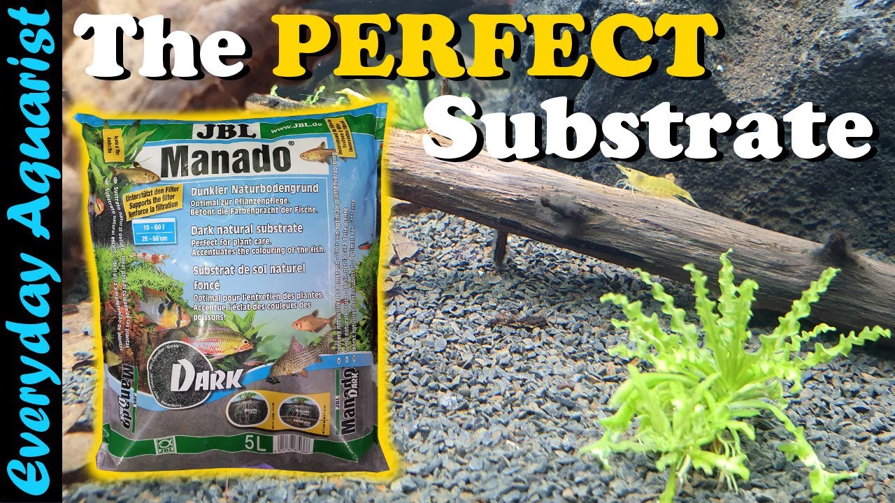 JBL Manado Dark  Best Substrate For Plants and Shrimp Tanks 