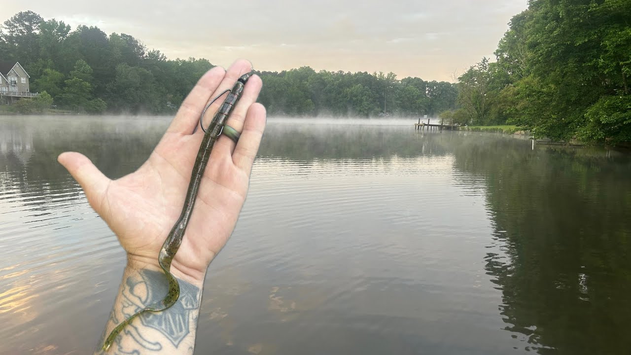 Bass Fishing | can't get enough