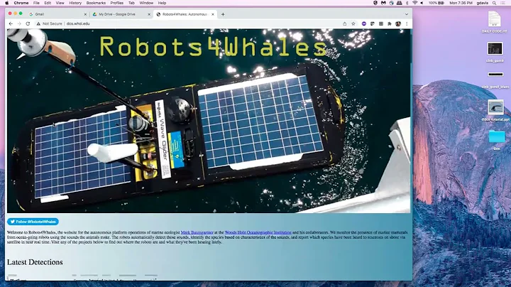 Part 6 - Robots4Whales Website Introduction