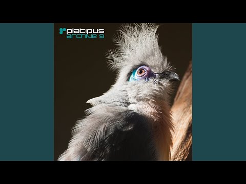 Art Of Trance - Madagascar (Ferry Corsten Remix (Remastered 2009)) (feat. Ferry Corsten)