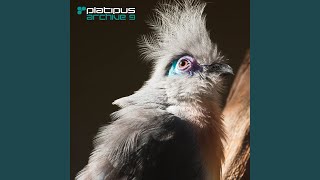 Madagascar (Ferry Corsten Remix (Remastered 2009)) (feat. Ferry Corsten) - Art Of Trance