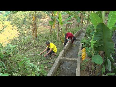 Video Bất cập trong đầu tư nước sạch vùng tái định cư thủy... - youtube