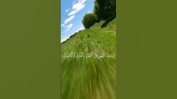 أرح سمعك/ سورة الأعراف من الآية 203 إلى الآية 206
