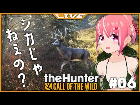 【the Hunter : Call of the Wild】#06 いやでもねシカっぽいよ【VTuber】