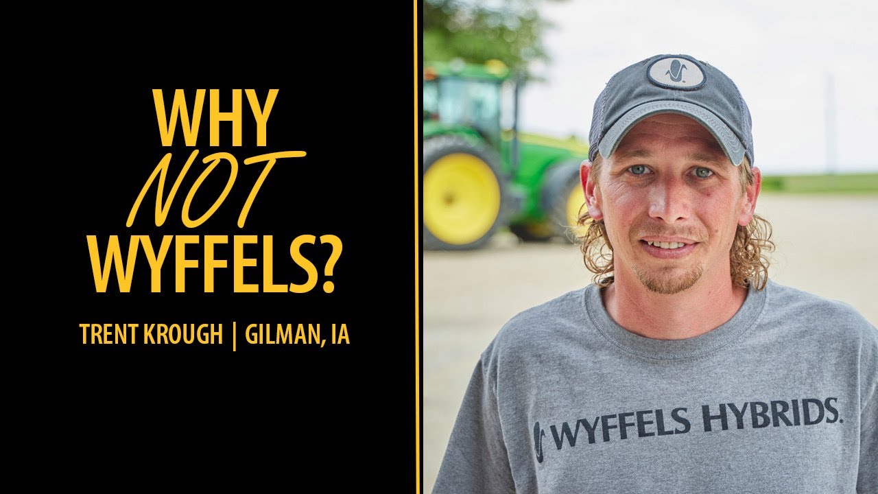 Why Not Wyffels? | Trent Krough