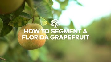 How To Segment A Florida Grapefruit