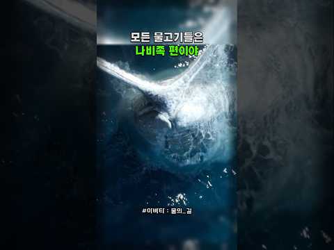 나비족의 새로운 동맹 #아바타 #제임스카메론 #조이살다나 #샘워딩턴