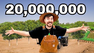 Mrbeast We Planted 20,000,000 Trees On 20M Subscribers The Teamtrees Story
