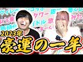 2023年振り返ってみたら結構すごかったんだね、ぜのぷろ。