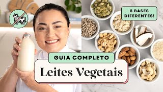 COMO FAZER LEITE DE COCO, AVEIA, CASTANHA E MAIS: APRENDA 8 LEITES VEGETAIS BARATOS