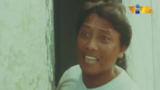 Iconic Moments in VIVA Action! | Films Starring Bong Revilla Jr, Robin Padilla