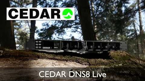 Cedar DNS8 Live