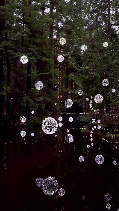 Nature•Dominik Hauser, Katie Campbell•Somewhere in my Memory || #shorts #shortvideo #nature