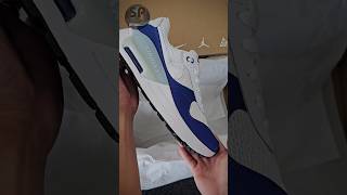 NIKE Air Max SYSTM (Old Royal/White/Pure Platinum) Shorts