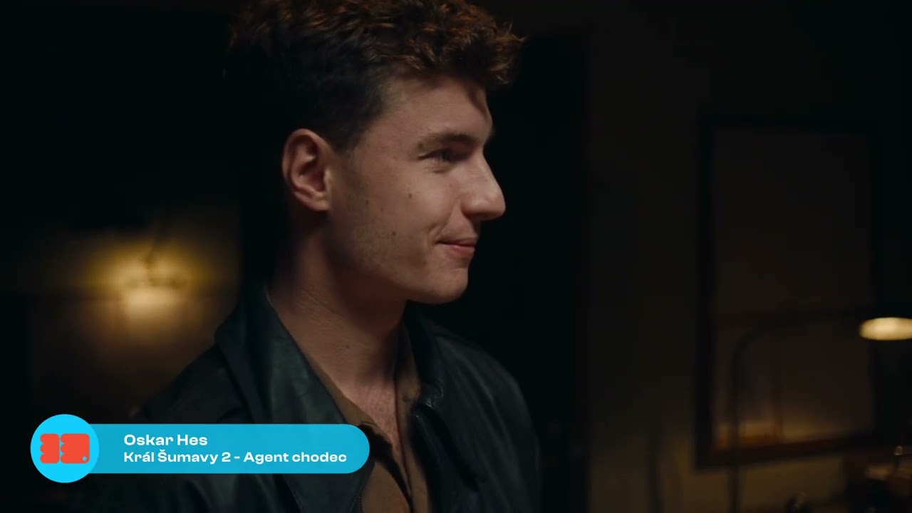 33. Český lev - nejlepší herecké výkony v hlavní roli v seriálovém díle