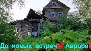 Жаркий полдень на  реке Мга (Ленинградская обл.) Освежающая и манящая в знойный июль2020,около Лезье