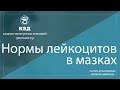 219  Нормы лейкоцитов в мазках