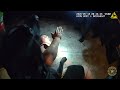 K-9 TITAN TAKES FIRST BITE OUT OF CRIME, APPREHENDING DOMESTIC BATTERY SUSPECT