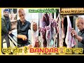 😱यहां होता हैं BANDAR🐒का नाच//Mutton Price Only ९००/-//Munna Meat Shop//Best Mutton Shop Kolkata//