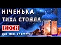 Дуже красива колядка «Ніченька тиха стояла»