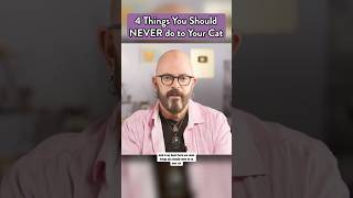 NEVER do these 4 things to your cat! #cats #catvideos