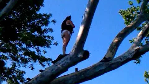 Tree jumping