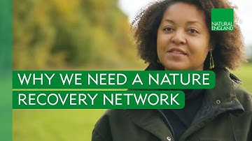 Nature Recovery Network