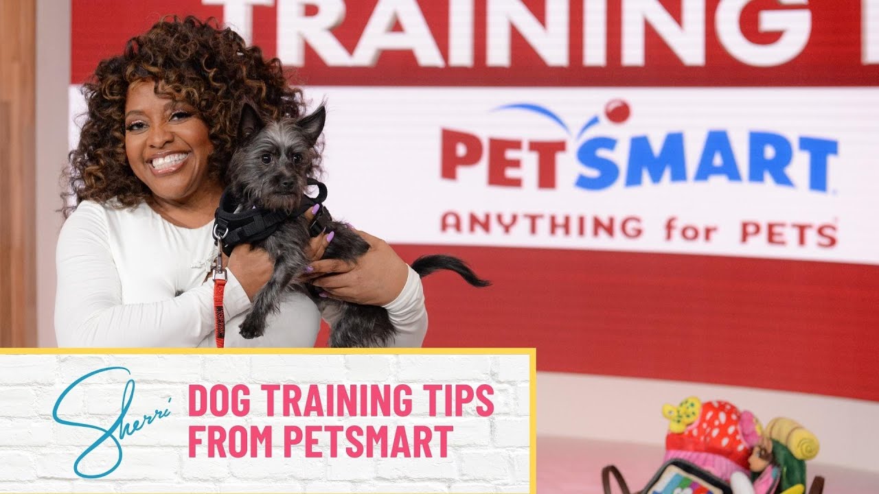 Dog Training: Puppy and Adult Dog Training Classes | PetSmart