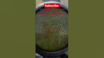 official servers dayz ps4