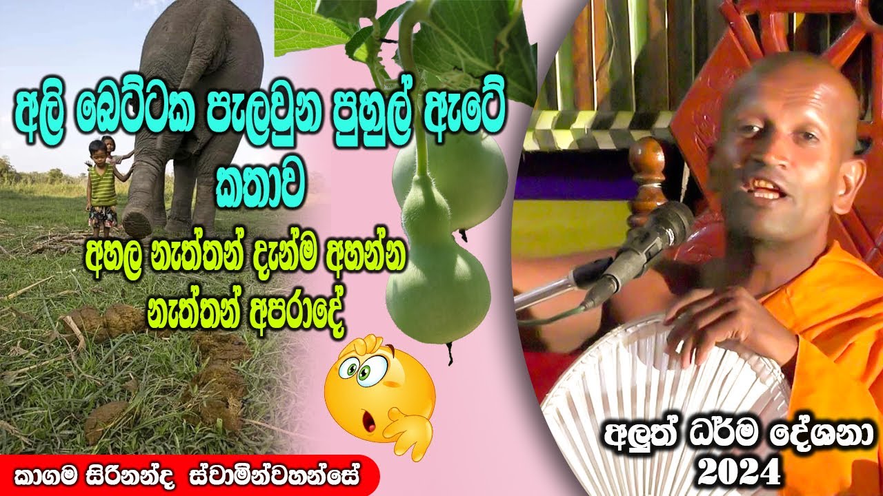 අලි බෙට්ටක පැලවුන පුහුල් ඇටේ කතාව | ධර්මාසනය | The Pulpit #kagamasirinandathero
