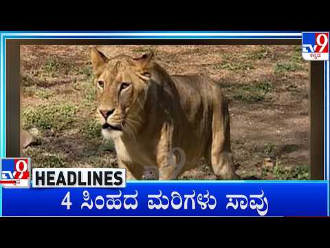 TV9 Kannada Headlines At 5PM (27-09-2026)