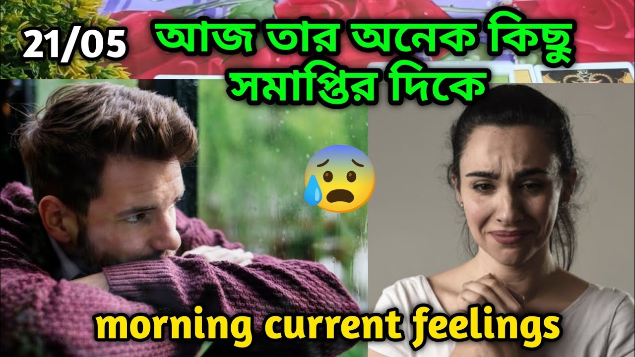 সমাপ্তির দিকে 💯Morning Thought feelings tarot Current feelings energy today current feelings