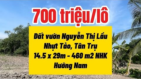 P406 - [Tân Trụ, LA] Có 460m2 đất vườn view sông chỉ 700 triệu ! 