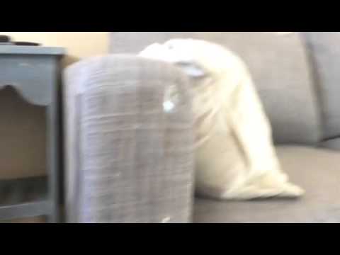 How to stop cat from clawing furniture - YouTube