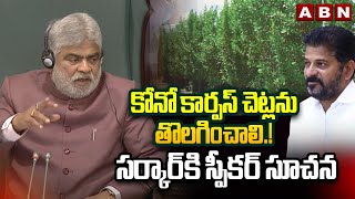 కోనో కార్పస్ చెట్లను తొలగించాలి.!సర్కార్ కి స్పీకర్ సూచన |Speaker Gaddam Prasad On Cono Corpus Trees