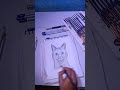 🐱 Cute Cat Sketch Drawing ✏️ | Easy Pencil Art for Beginners ❤️#CatDrawing #PencilSketch #CuteCat