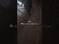اسحرت لو اركص
