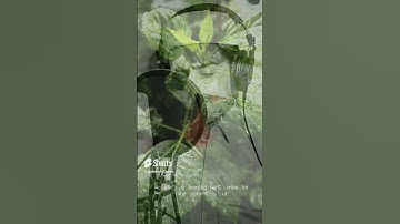 ربنا هب لنا من ازواجنا وذرياتنا قرة اعين   أجمل الآيات من سورة الفرقان