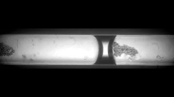 Particle concentration in plugs, Regime I