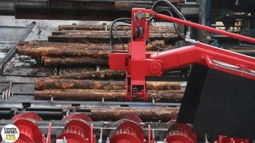 First look at Murray Timber Group