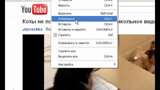 Лучший способ скачать видео с YOUTUBE  SoftFly.ru screenshot 4