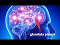 ASI MATAN TU GLANDULA PINEAL