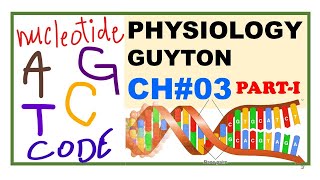Chp3Part-I Guyton Physio Nucleotides Dna Gene Expression Introduction To Dna Structure