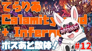 【Terraria Calamity mod】超高難易度十二日目　そろそろ終わりが見えてきた【Infernum mode】