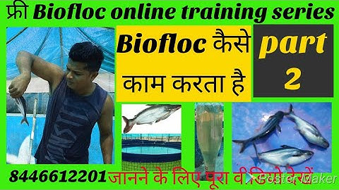 Biofloc कैसे काम करता है | Part- 2 | Biofloc Online Training Series | jaikumar nagpur maharstra
