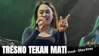 TRESNO TEKAN MATI - Elisa Kirey || Bintang Cahaya Live Semayu Selomerto