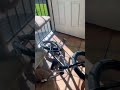 #automobile #helpmemakethismakesense #catmemes #bmx #mountainbike #amnewbutnottheleast