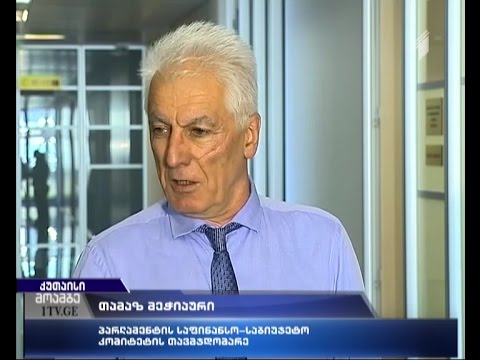 დაპირისპირება პარლამენტარსა და პრეზიდენტის ინსტიტუტს შორის - მოიხდის თუ არა ბოდიშს თამაზ მეჭიაური